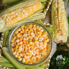 生态甜玉米粒（冷冻）| 绿家自产*Eco-waxy niblet（freeze）| Self-production 商品缩略图4
