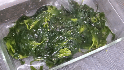 嫰滑鲜爽的山海至味！“海带之乡”的海带苗有多好吃？ 