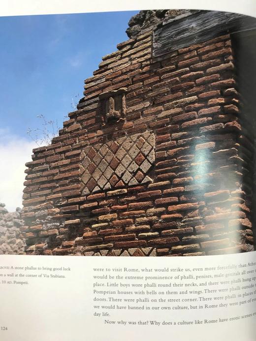 古代世界的情爱 约200幅插图 精装大16开 商品图8