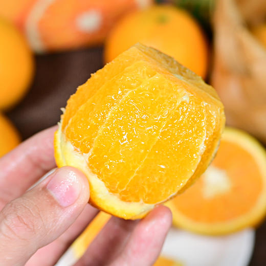 【秭归夏橙 5斤】丨橙香浓郁，夏季爆汁橙，清凉榨汁之选，果肉细腻，满满的VC，现摘现发 商品图0