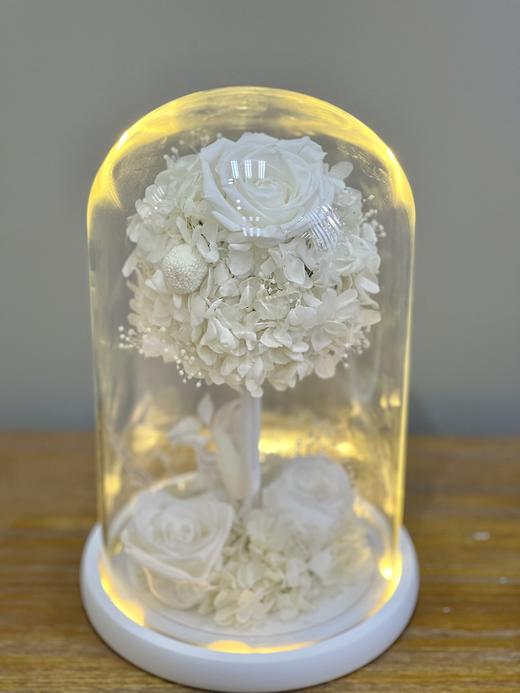 大许愿树 商品图3