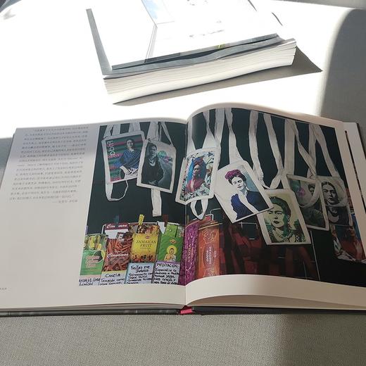 (仓发) 爱上弗里达/上海人民美术出版社/[德]戈比•弗伦格/9787558617157 商品图6