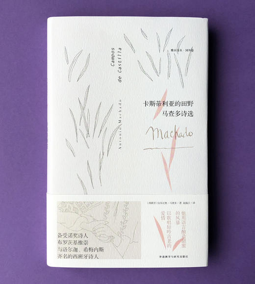 (仓发) 卡斯蒂利亚的田野:马查多诗选/外语教学与研究出版社/[西班牙]安东尼奥·马查多/9787513597173 商品图2