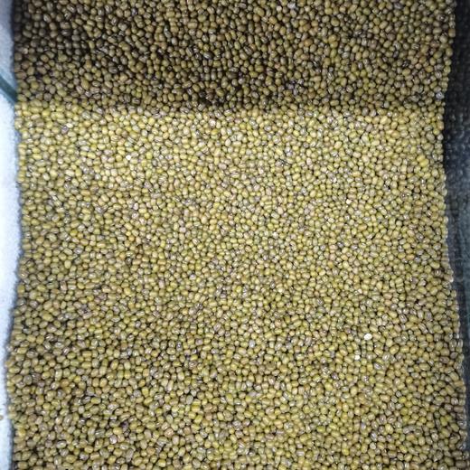 绿豆王 商品图0