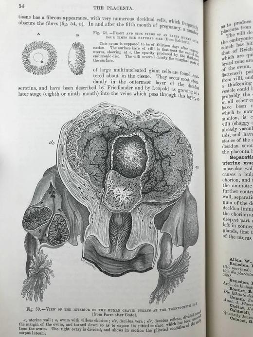 1898年 奎恩解剖学要点（卷1，分2册） 近700幅插图 漆布精装16开 商品图10