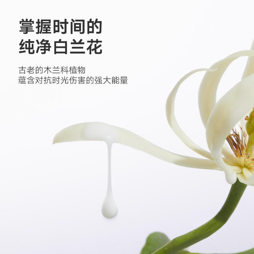 DAISYSKY雏菊的天空丨朝兰白露精油面膜23ml*5片 商品图3