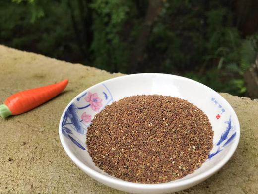菟丝子200g 干品 吐丝子 无根藤 豆寄生 野生小菟丝子 食用农产品 商品图0