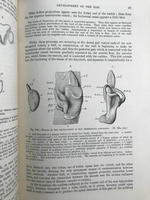 1898年 奎恩解剖学要点（卷1，分2册） 近700幅插图 漆布精装16开 商品图8
