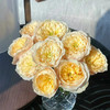 同城甄选玫瑰 黄蝴蝶10支单头 商品缩略图0