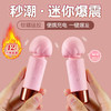 谜姬 奶昔话筒加温迷你 AV棒震动棒冰淇淋振动棒女生自慰器安慰器 商品缩略图5
