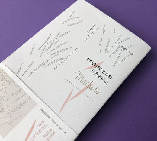 (仓发) 卡斯蒂利亚的田野:马查多诗选/外语教学与研究出版社/[西班牙]安东尼奥·马查多/9787513597173 商品图3