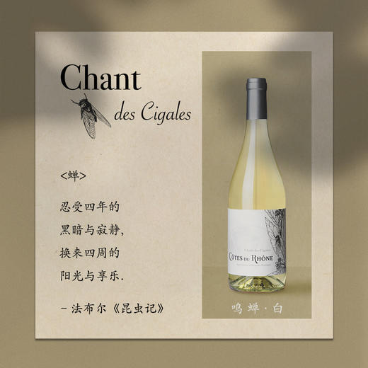 昆虫记鸣蝉白葡萄酒（2020） 商品图0