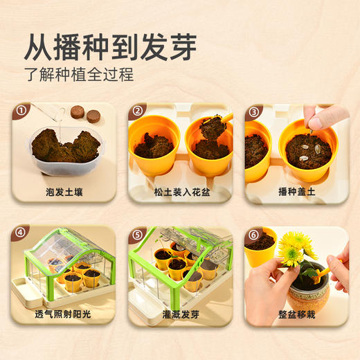 mideer弥鹿阳光房种植花房儿童玩具手工diy科学小实验套装观察盒 商品图3