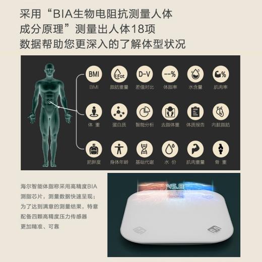 【加大加厚】海尔（Haier）体脂秤电子秤智能蓝牙人体秤家用称体重秤高精准度18项身体数据多项检测 专业体脂秤Q200U9（电池款） 商品图3
