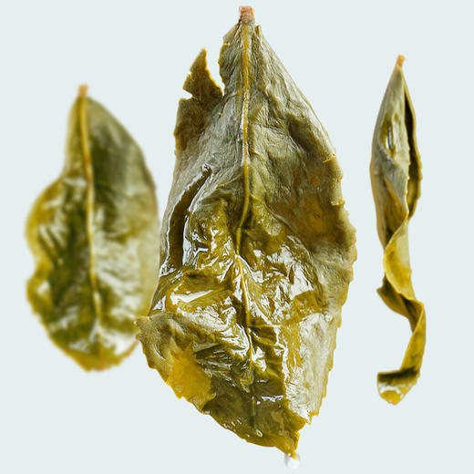 基地直发-有机茶浓香型铁观音70g 商品图4