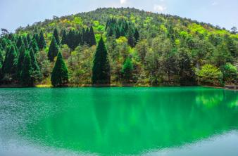 龙泉山门票秒杀 商品图6