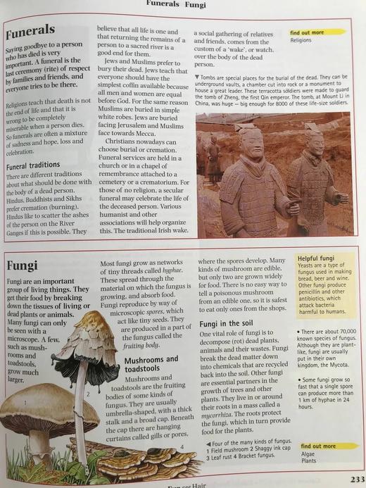 牛津插图百科全书 约千幅彩色插图 精装16开 商品图9