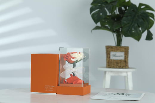 小王子拼色花盒 商品图5