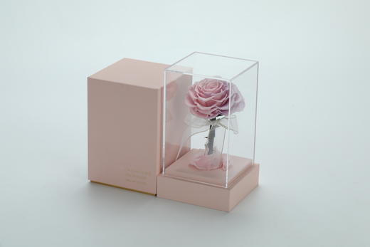 小王子拼色花盒 商品图2