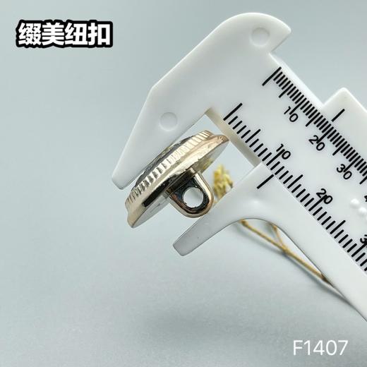 F1407(整包购买) 商品图4