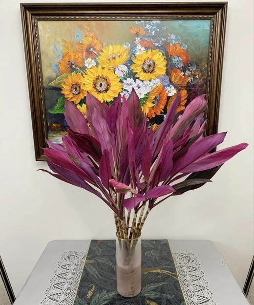 红铁【朱蕉叶】约9-10支/扎  约60公分 商品图3