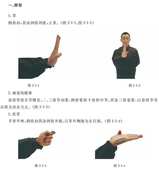 (仓发) 峨眉武术教程/峨眉武术段位制教材/湖北科学技术出版社/吴信良/9787570605453 商品图2