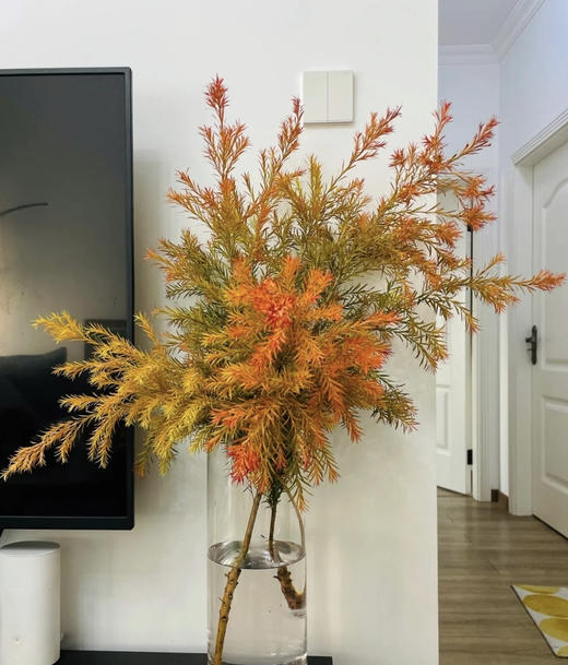 【千层金】 橙色  若干枝/扎 商品图4