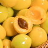【新疆·轮台小白杏 2斤】| 来自边疆的大自然礼物，轮台小白杏，一颗一口蜜，绵密细腻，每一口都是不同的惊喜 商品缩略图0