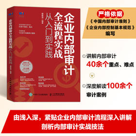 企业内部审计全流程实战从入门到实践 屠建清 著  内审企业管理审计流程审计准则 控制财务会计企业经营