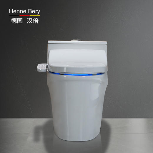 德国汉倍WH-210智能马桶盖活水即热式除菌家用自动冲洗 国民家居坐便 商品图2