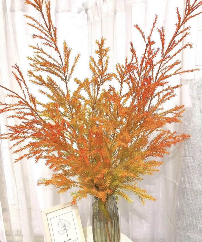 【千层金】 橙色  若干枝/扎