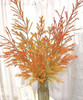 【千层金】 橙色  若干枝/扎 商品缩略图0