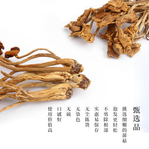 【贵州茶树菇】 营养可口！32.9元包邮到家！ 商品图2