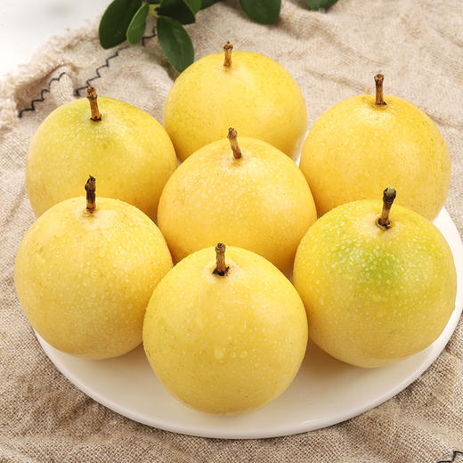【下单后48小时发货】福建漳州 钦蜜9号 黄金百香果3斤装左右大果（约18-23个左右） 商品图14