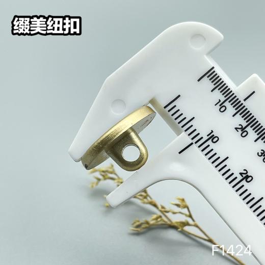 F1424(整包购买) 商品图4