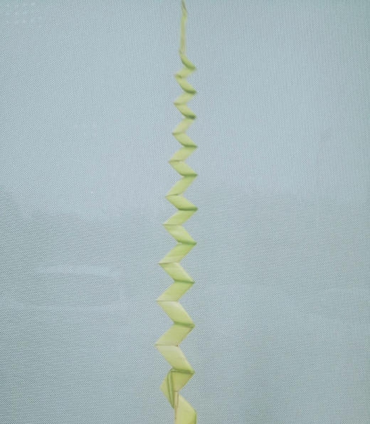 黄剑叶 约8-10片/扎 商品图5