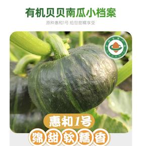 有机贝贝南瓜4.5斤左右