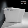 德国汉倍WH-690智能马桶除菌抗菌即热式感应冲水全自动一体式坐便器 商品缩略图3