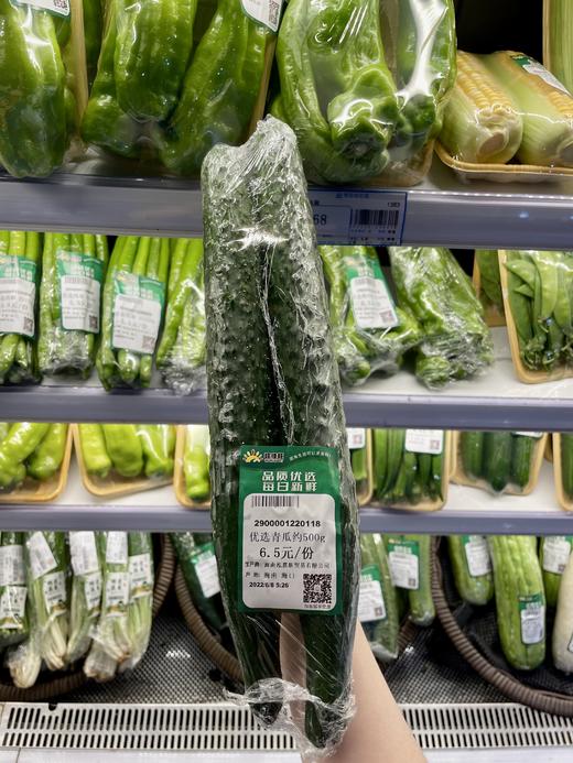 优选青瓜约500g 商品图4