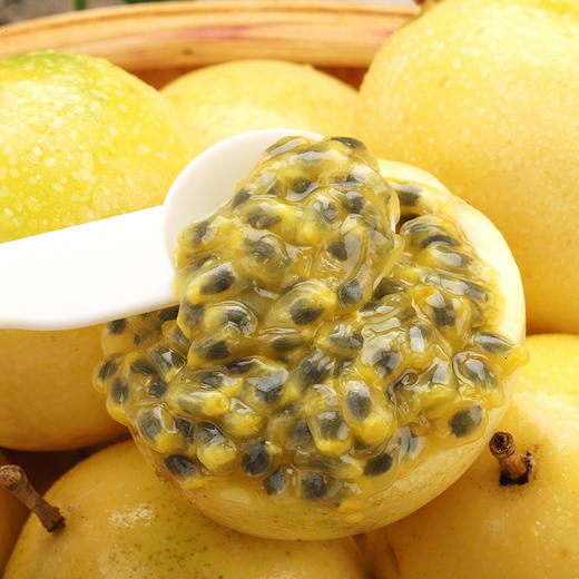 【下单后48小时发货】福建漳州 钦蜜9号 黄金百香果3斤装左右大果（约18-23个左右） 商品图9