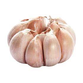 优选蒜头约250g