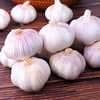 优选蒜头约250g 商品缩略图4