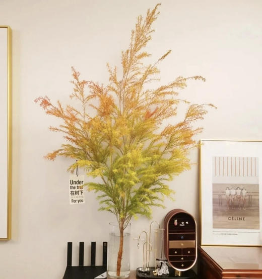 【千层金】 橙色  若干枝/扎 商品图1