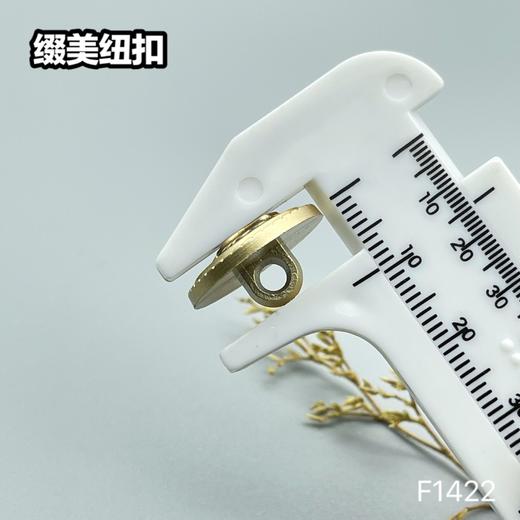 F1422(整包购买) 商品图4