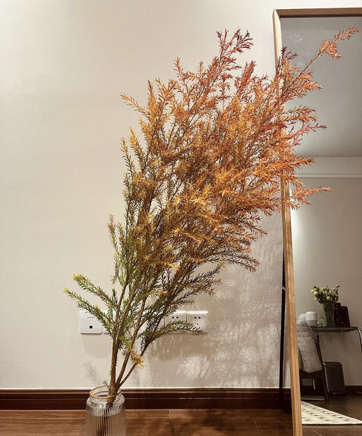 【千层金】 橙色  若干枝/扎 商品图2