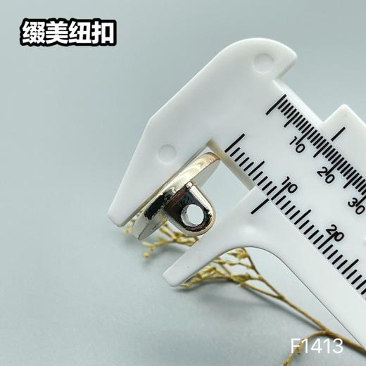 F1413(整包购买) 商品图4