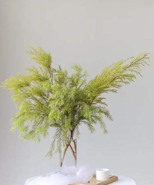 【千层金 】原色 若干枝/扎（秋冬季颜色偏秋色） 商品图7