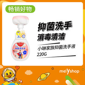 2N小琳家族抑菌洗手液 220g（220400）