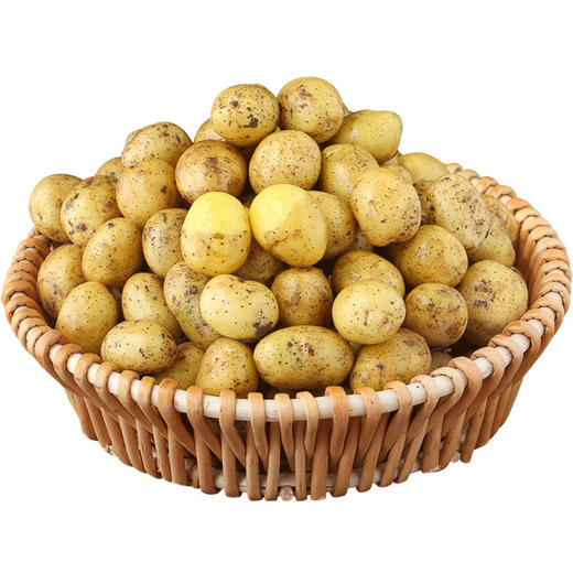 优选土豆约500g 商品图0