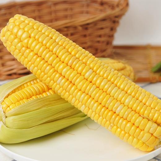优选玉米2根 约500g 商品图2